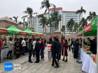 海南省农业农村厅举办“新春集中行动”农产品鉴对接专场活动