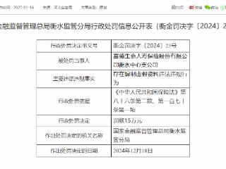 衡水一保险公司因编制虚假资料被罚15万元