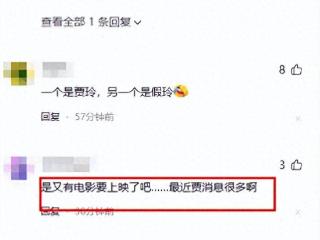 刘德华跨年演唱会现贾玲，网友懵了：怎么有两个贾玲？