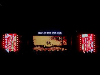 把成语搬上乡村舞台！邯郸馆陶“成语村晚”欢乐开演！