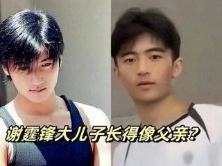 张柏芝小儿子谢振南正面照被曝，颜值竟胜大哥，融合父母基因