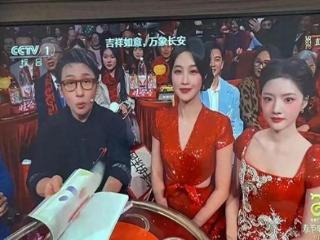 浣碧太迷人了，观众无心看刘谦魔术，把李子柒与任敏都比下去了