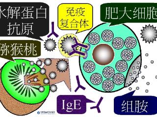 台湾耳鸣眩晕权威提醒：每天头痛当脑瘤，真相竟是食物过敏