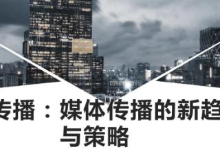 泓樱桃营销策划：2025年企业政府如何通过新闻媒体做品宣