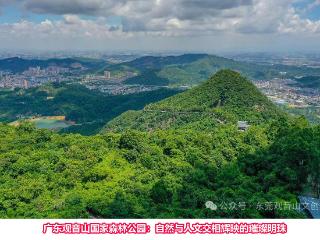 广东观音山国家森林公园：自然与人文交相辉映的璀璨明珠