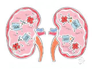 这4类食物糖友不妨多吃，可降低糖尿病肾病风险！