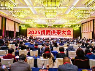 福建省自贸国际商会成功举办“2025首届侨商供采大会”！