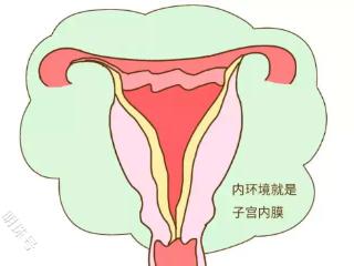 薄型子宫内膜如何改善？