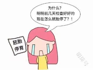 胎停并非毫无征兆，注意这三点！