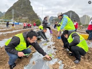 崇左移动：不负好春光，“移”起助春耕