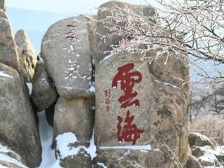 惊蛰时节雪未消 泰山银装迎春潮