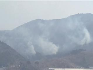 日本岩手县大船渡市山火已得到控制