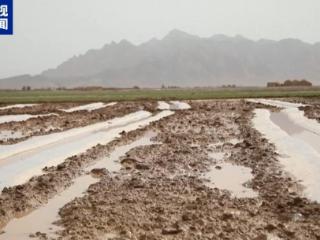 阿富汗强降雨引发洪水 至少80人死亡