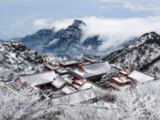 牛静涛：泰山春雪令人惊羡（图集）