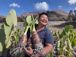 滇西农民的村播逆袭：“老”番茄找到新生意，一年卖爆北上广