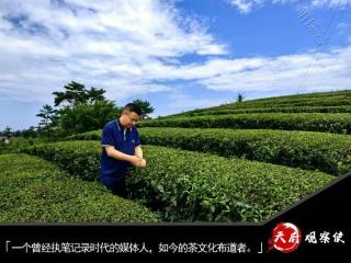 从笔尖到茶尖：杨司南与他的头条茶江湖