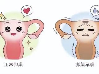 卵巢功能衰退，你的“生命库存”告急了吗？