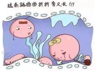 备孕路上遇输卵管积水困扰？三招妙计，助你轻松解决！