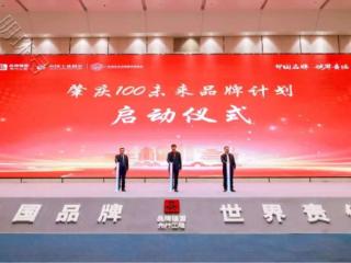 “肇庆100未来品牌计划”名单在2025品牌强国先行工程嘉年华上公布