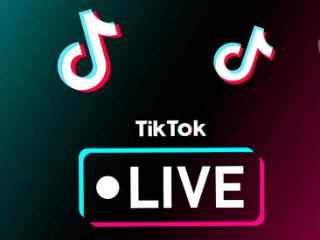 注册TikTok需要准备的材料