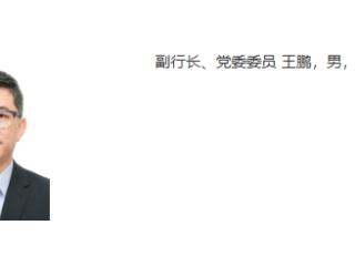 王鹏已任国家开发银行副行长