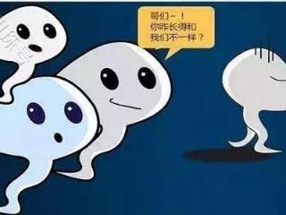 判断精子是死是活的三个方法，这些小技巧你知道吗？