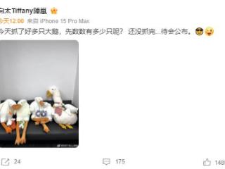 向太“抓大鹅”战绩再晒：豪门贵妇的可爱反差萌出圈