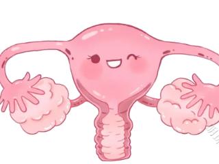卵巢储备功能是决定女性生育的关键性因素，怎么看卵巢储备功能好不好？
