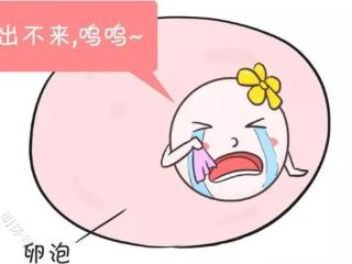 那么问题来了，怎么才知道卵泡有没有成熟排出？