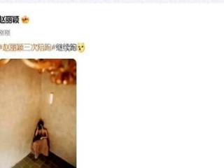 白玉兰奖尘埃落定，刘亦菲杨紫宋佳争后