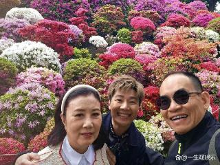 78岁汪明荃日本街拍曝光！荧光绿配死亡芭比粉，这穿搭直接辣眼睛
