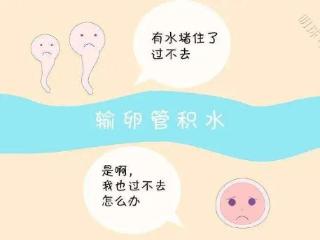 “输卵管积水”堵住了想当妈妈的路