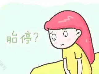 有胎心胎芽还会停育，这种情况提前预防，好孕近在眼前！