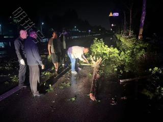 山东山亭：争分夺秒除路障 执法担当护平安