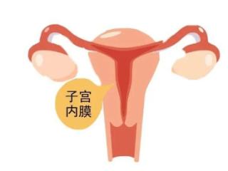 子宫内膜多少厚度才适合怀宝宝？