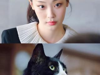 在《比天堂还美》演猫咪爆红，一片段看哭观众，她是人间猫咪崔熙真