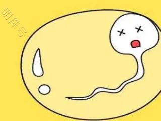 精液常规没问题，为啥老婆怀不上？揭秘男性生育力的隐藏“暗门”