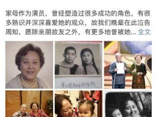 永别了童奶奶 演完最后一幕的老戏骨离开了我们