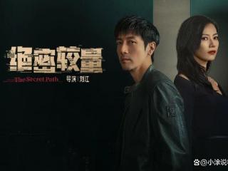 高圆圆：在争议中绽放，用实力书写演艺传奇