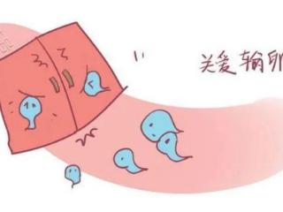 输卵管积水，它的危害不仅仅是难怀孕！