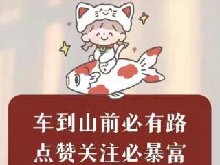 演唱会大获成功！汪明荃回乡祭祖，分享名字背后与崇明岛的羁绊！