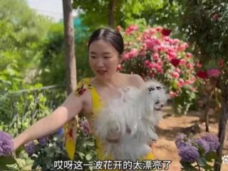 44岁霍思燕晒京郊花园，亲自动手打理，抱名贵宠物狗漫步好贵气