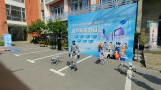 AI赋能未来 上海市工商外国语学校带你“预见”职业新图景