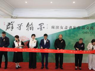 苏澳女书画家作品交流展开幕 刘云等参加活动并致辞