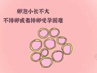 为什么备孕一直怀不上?原发性不孕与女生这个部位有关!