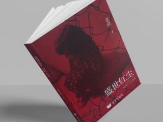 《盛世红尘》：在命运褶皱里开出坚韧的花