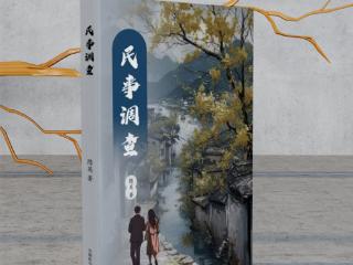 民事调查：一本让你在民事纠纷里，看见人性光辉的书