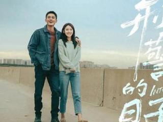 《刑警的日子》成云灏没找回来，才懂李巍从司机变富豪的真相