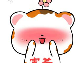备孕期间，爱爱频率该如何把握？才能避免“过犹不及”，保质保量？