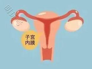 这个子宫内膜厚度最适合孕育宝宝！